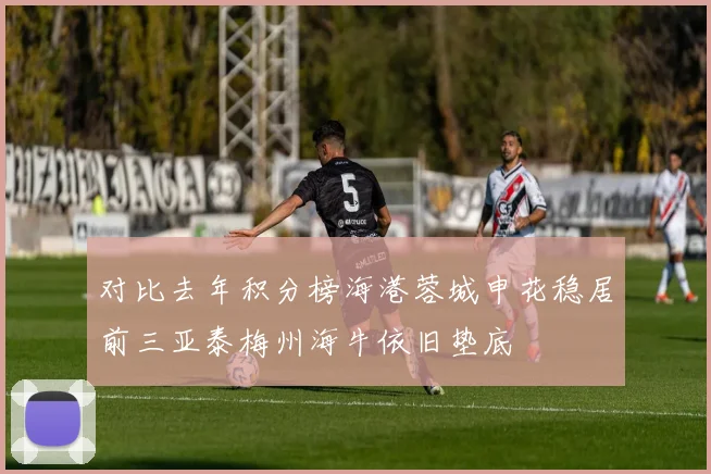 对比去年积分榜海港蓉城申花稳居前三亚泰梅州海牛依旧垫底