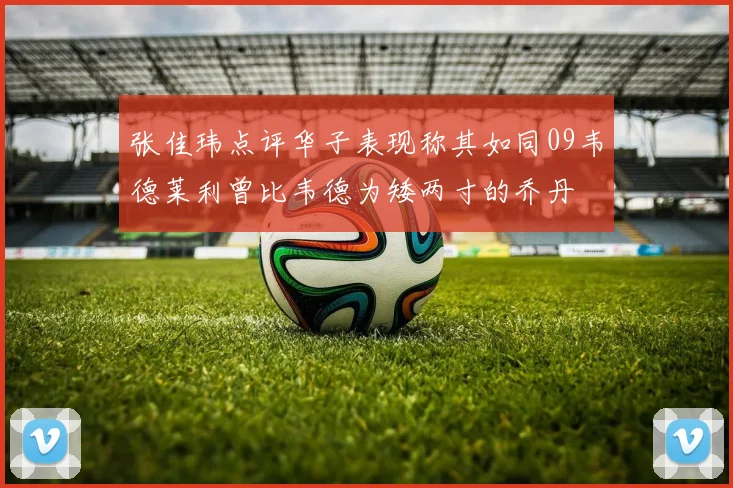 张佳玮点评华子表现称其如同09韦德莱利曾比韦德为矮两寸的乔丹