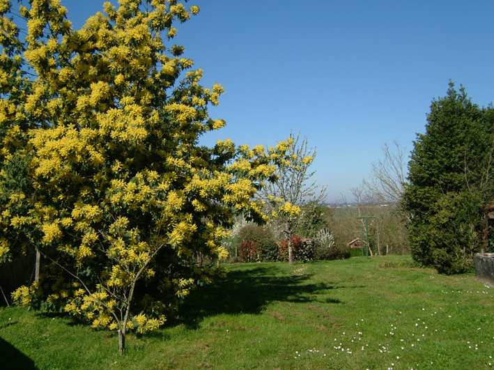 Spring Garden at Lapwing House Holiday Cottage